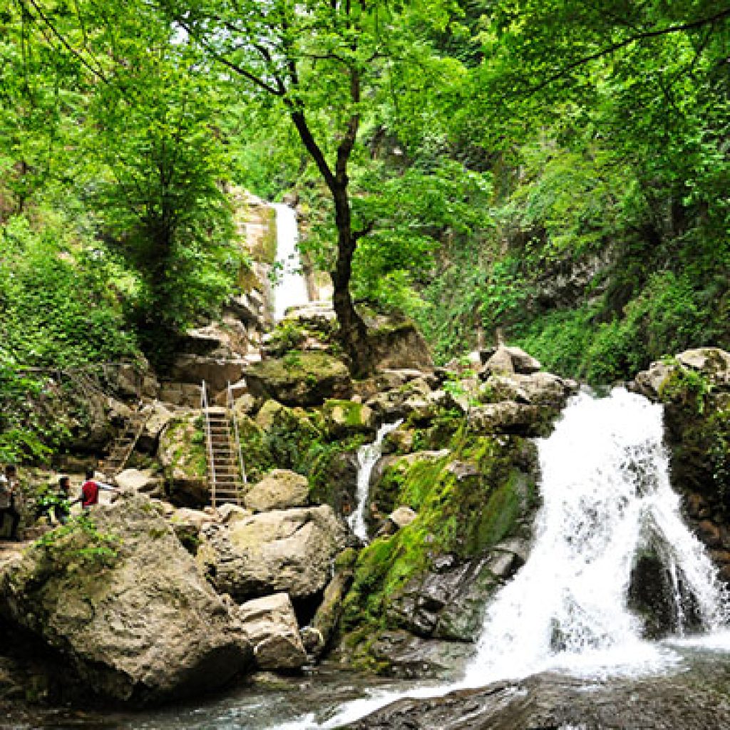 Golestan National Park is the first wild park of Iran.