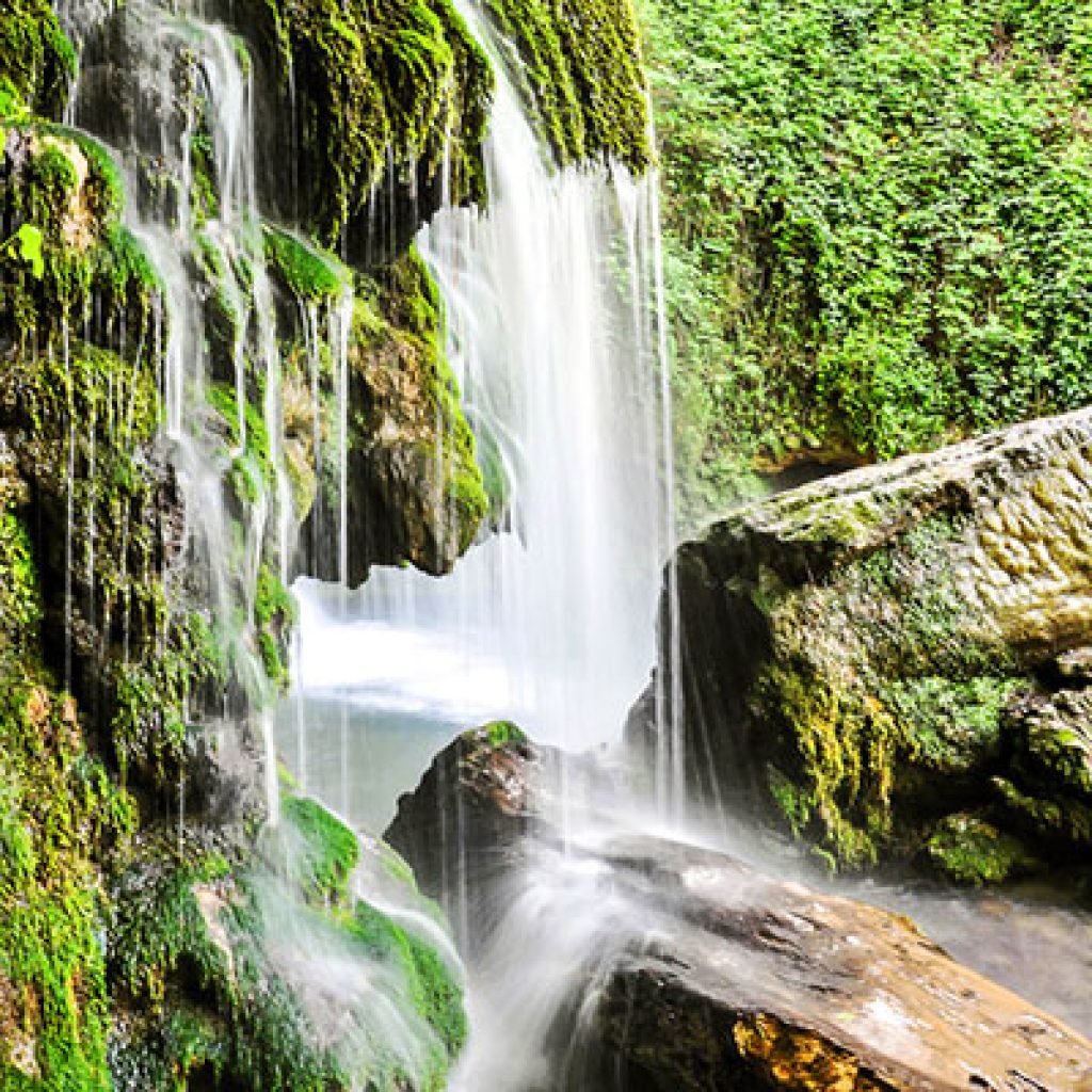 Golestan National Park is the first wild park of Iran.