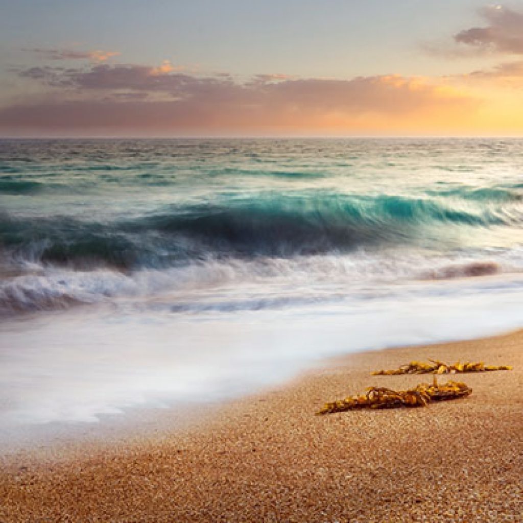 Darak Beach is a sandy desert beach next to Oman sea.